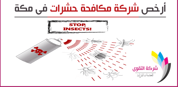 ارخص شركة مكافحة حشرات في مكة